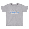i do what the voices in my wifes head Toddler T-shirt
