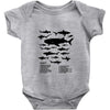 shark chart Baby Onesie