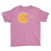 pizza pie chart Youth Tee