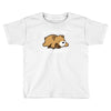 dreamer bear Toddler T-shirt