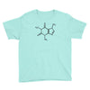 caffeine molecule t shirt coffee Youth Tee
