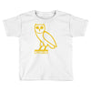 drake, ovoxo owl Toddler T-shirt