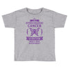 I am a Gynecologic Cancer Survivor - What's Your Superpower? Toddler T-shirt