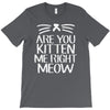 are you kitten me T-Shirt