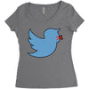 boy bird Women's Triblend Scoop T-shirt