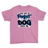 i may not be be perfect but my dog loves me Youth Tee