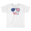 4th of July Toddler T-shirt