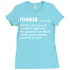 Feminism Noun Ladies Fitted T-Shirt