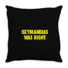 ozymandias was right Throw Pillow