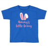 Mommy's Little Bunny Easter Themed Toddler T-shirt