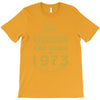 queens are born in 1973 T-Shirt