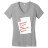 i pretend to work they pretend to pay me Women's V-Neck T-Shirt