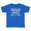 vintage 1972 aged to perfection Toddler T-shirt