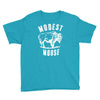 modest mouse Youth Tee