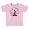 usa Toddler T-shirt