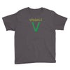 the vandals Youth Tee