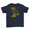drake, ovoxo owl Youth Tee
