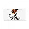 2 P License Plate