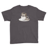 perk up Youth Tee