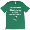 all i want for christmas is a cure carcinoid cancer T-Shirt