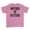 mother of kittens Youth Tee