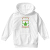 smoke weed every christmas Youth Hoodie