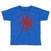 mother of dragons Toddler T-shirt
