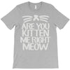 are you kitten me right meow T-Shirt
