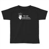 i'm not indecisive my mind Toddler T-shirt