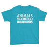 Animals Are Not Ingredients Youth Tee