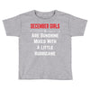December Girls Toddler T-shirt