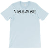 yibambe T-Shirt