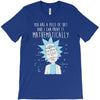 mathematically T-Shirt
