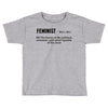 Feminist Noun Toddler T-shirt