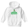leprechauns made me do it Youth Hoodie