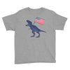 Patriotic T-Rex Youth Tee