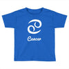 cancer zodiac Toddler T-shirt