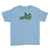 greetings from kakariko village Youth Tee