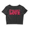 all you need is love Crop Top
