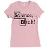 science bitch (2) Ladies Fitted T-Shirt