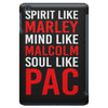 be like the greats iPad Mini