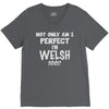 perfect welsh V-Neck Tee