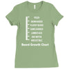 beard level Ladies Fitted T-Shirt