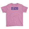 blue grass t shirt country music shirt cool tshirt harmonica banjo shi Youth Tee