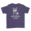 no drama llama Youth Tee