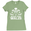 come on wales funny nations rugby Ladies Fitted T-Shirt