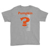 pumpkin everything Youth Tee