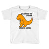 licensed to carry small arms Toddler T-shirt