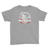 mobius racing sonic Youth Tee