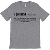 Feminist Noun T-Shirt